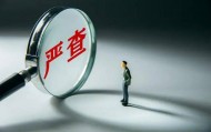 “85后”女科员骗补377万元，其中50余万用于美容、买衣服等 获刑13年