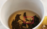 奈雪的茶被曝喝出青蛙，当事人：差点喝进嘴里，市场监督管理局已介入