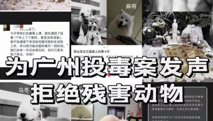 “死亡数据仍在上升”！广州警方介入