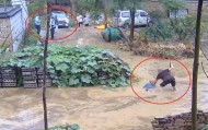 水中摔倒老人家属回应民警被免职：公开视频不是为了要处理谁，挖排水沟后家门口积水已退