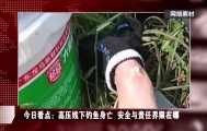 男子在高压线下钓鱼身亡，家属索赔百万元