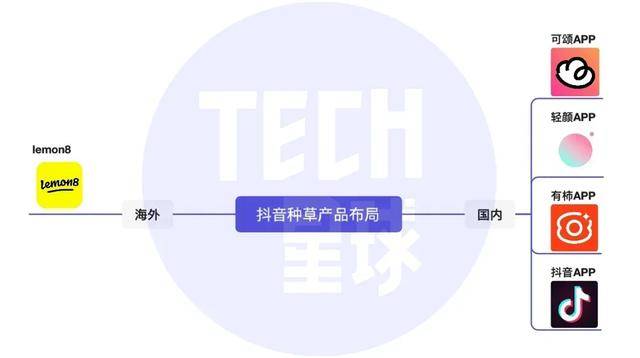 字节“钞”能力，捧出美国生活类APP下载量TOP1