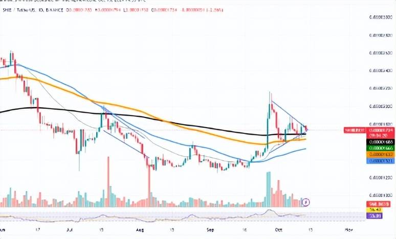 SHIB的形态刚刚失效，BTC维持关键价格水平，ETH在 2,400 美元附近苦苦挣扎