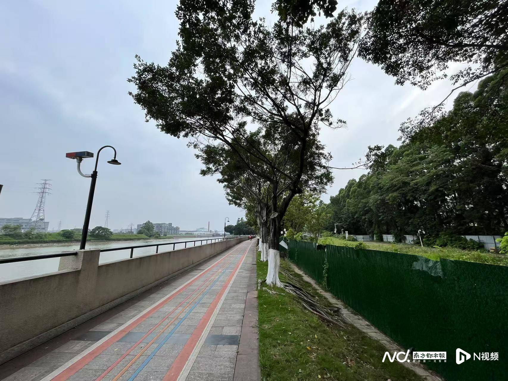 东莞一地多处被围蔽却无人施工，市民质疑工程烂尾，最新回应