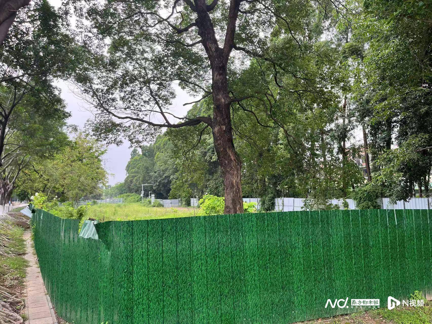 东莞一地多处被围蔽却无人施工，市民质疑工程烂尾，最新回应