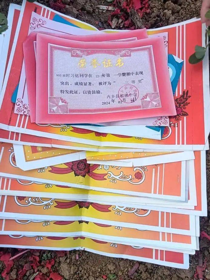 时习铭不幸离世，年仅16岁！父亲：一年前他考上重点高中